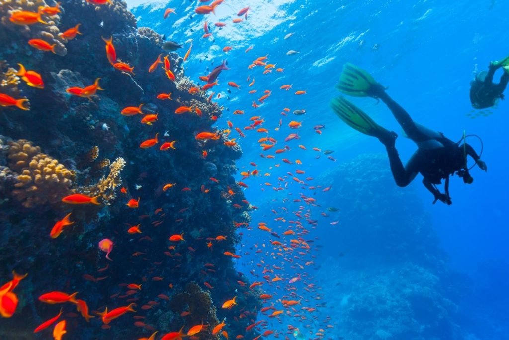 Les Meilleurs Endroits pour des Activités Sous-Marines à Dakar